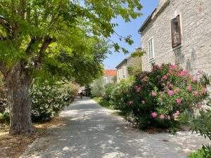 otok Zlarin